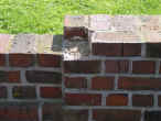 Mine0.28.JPG (105575 Byte)